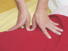 Shiatsu Wellness-Praktiker I