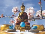 Das 3. Ausbildungsjahr der Shiatsu-Ausbildung