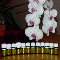 Essenzen 2, Quadratisch